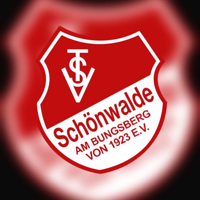 TSV Schönwalde Logo 3